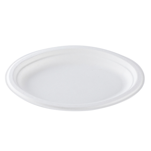Disposable Compostable Plates, 1-Compartment 6