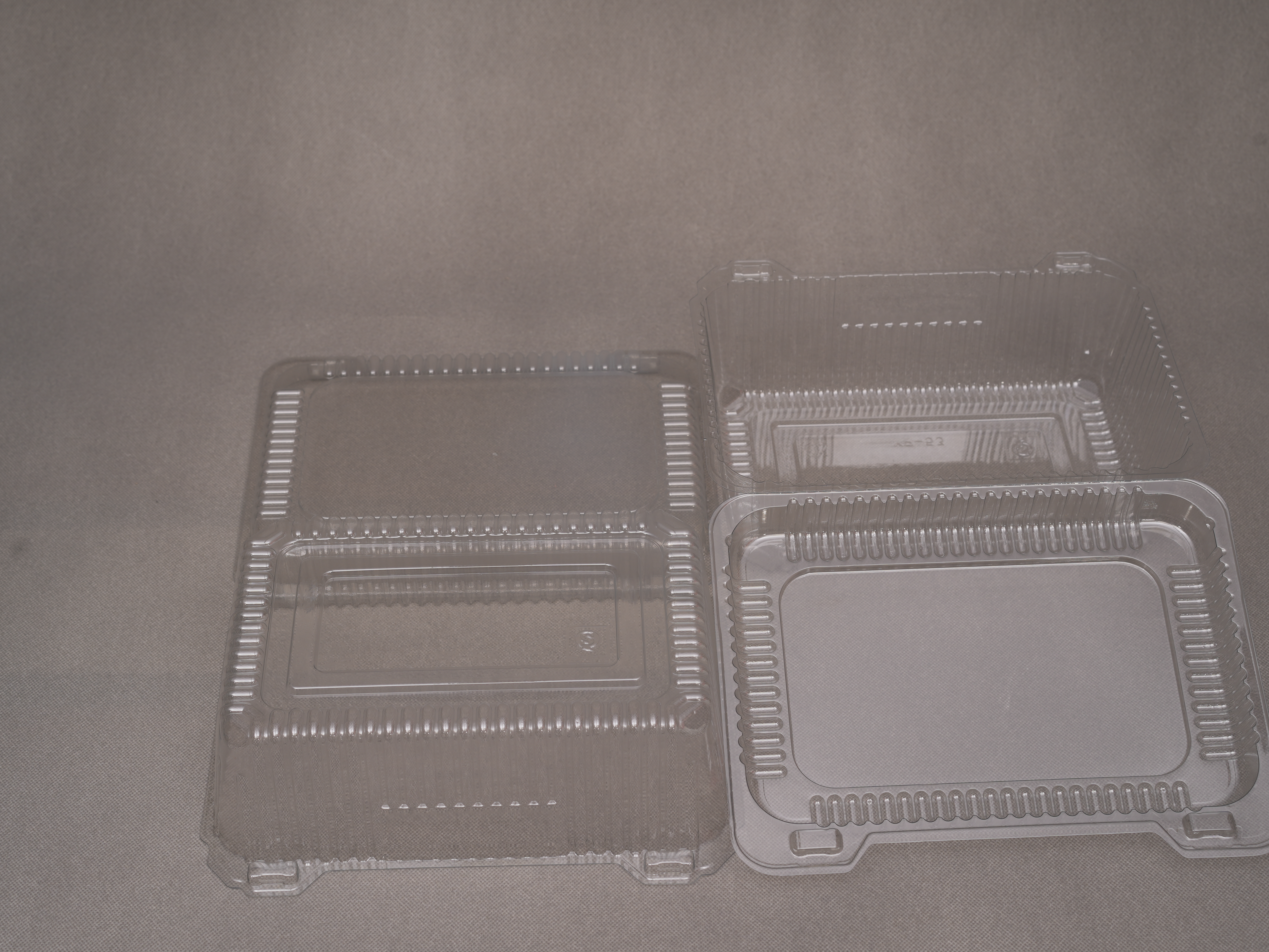 HSQY 9.4 X 5.8 X 3.7 Inch Clear PET Plastic Clamshells Food Container