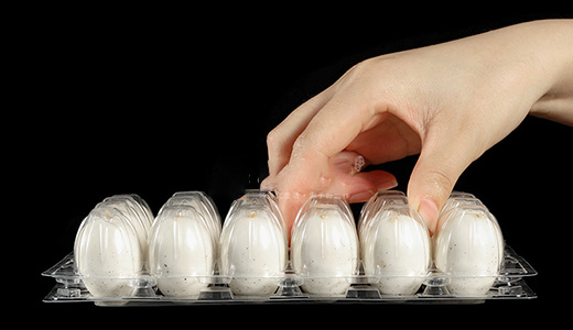 24-Count PET Quail Egg Carton