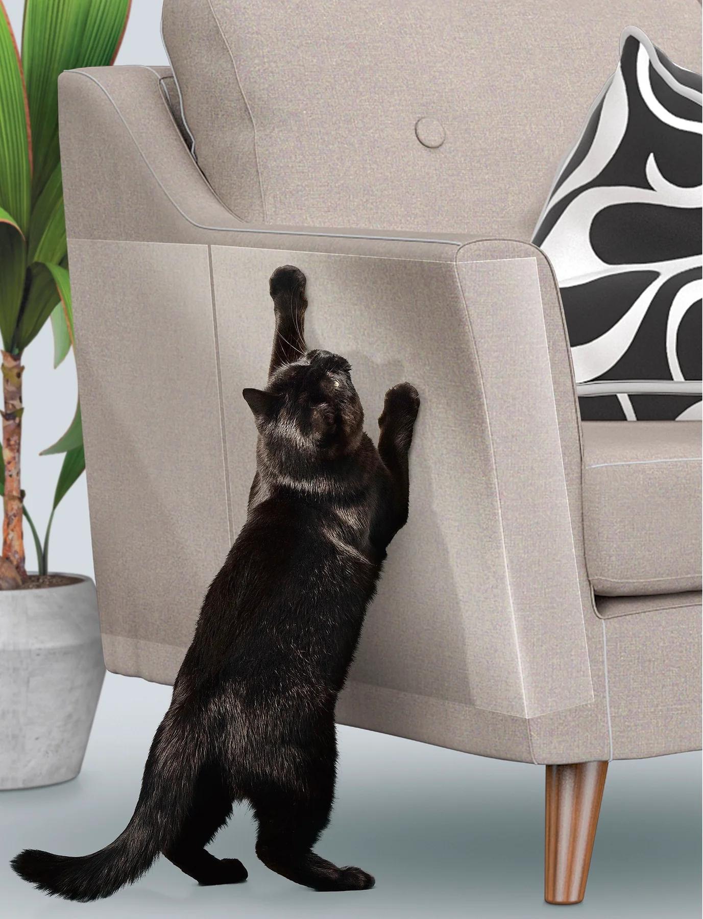 Anti-scratch PET sheet5(1)