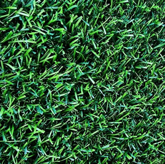 微信图片_20251011150455_14_15