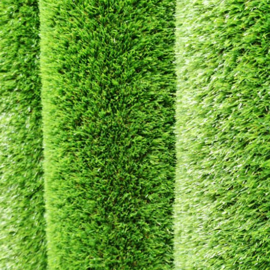 微信图片_20251011151108_19_15