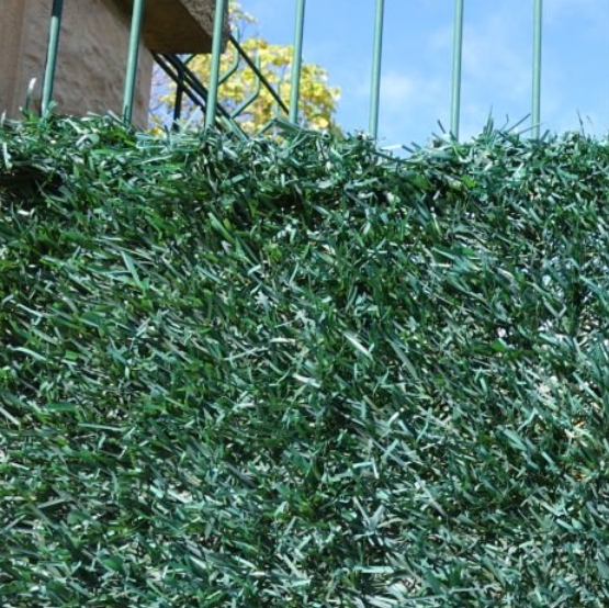 微信图片_20251011154523_28_15