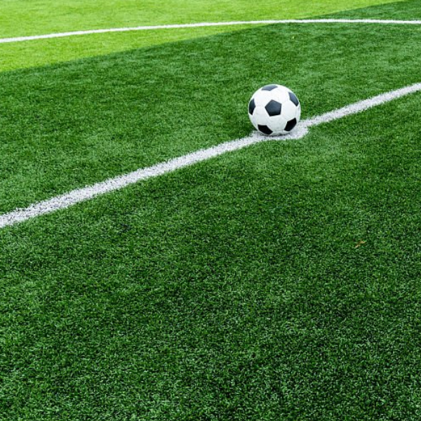 微信图片_20251015145838_79_15