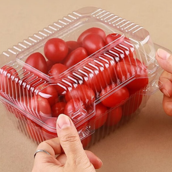 HSQY 4.1 X 4.1 X 1.6 Inch Clear PET Plastic Square Fruit Clamshells Container