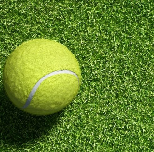 微信图片_20251011172504_55_15