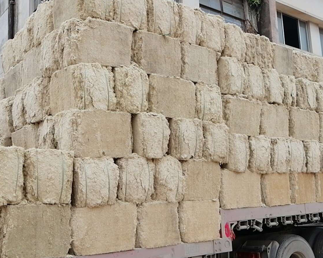 5 6 Compartment Bagasse Food Serving Tray, Disposable Serving Tray, 100% Compostable