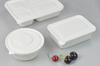 3 4 5 Compartment PLA Lunch Box with Lids, Take Out Food Containers, 100% compostable