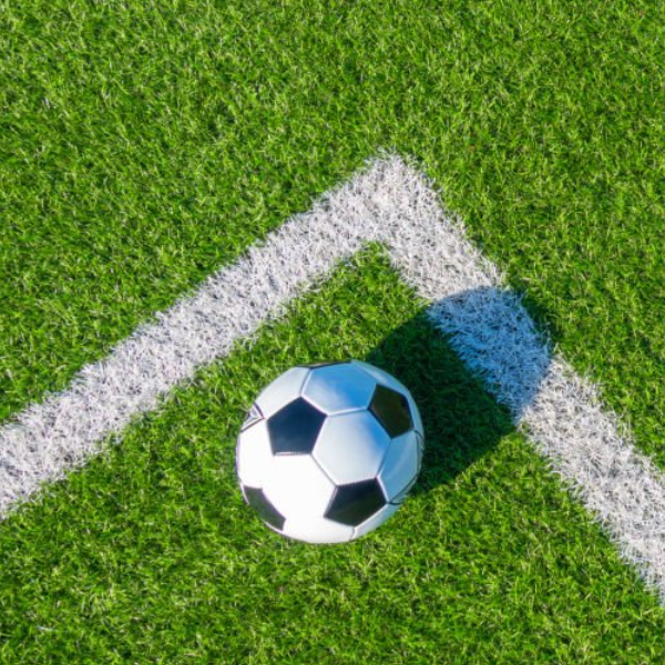 微信图片_20251015150514_81_15