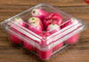 HSQY 9.6 X 6.7 X 2.1 Inch Clear PET Plastic Fruit Clamshells Container