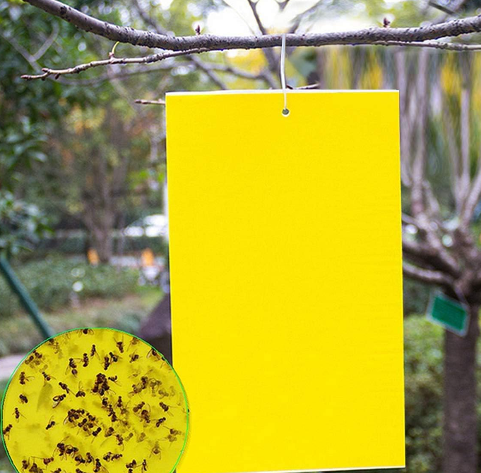 9acbe324-c0a6-445b-a03c-5536fff39599