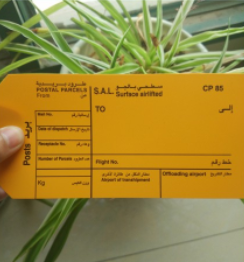 微信截图_20220318200345