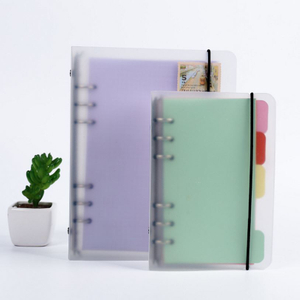 Matte Wäiss PVC Steifplack
