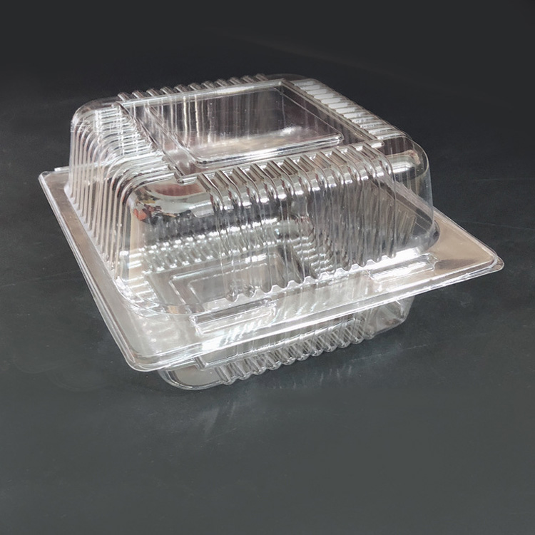 5.3 x 4.8 x 2.8 inch Clear Hinged PS Container