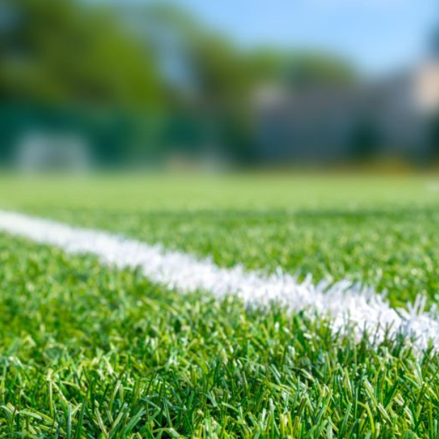 微信图片_20251015151333_82_15