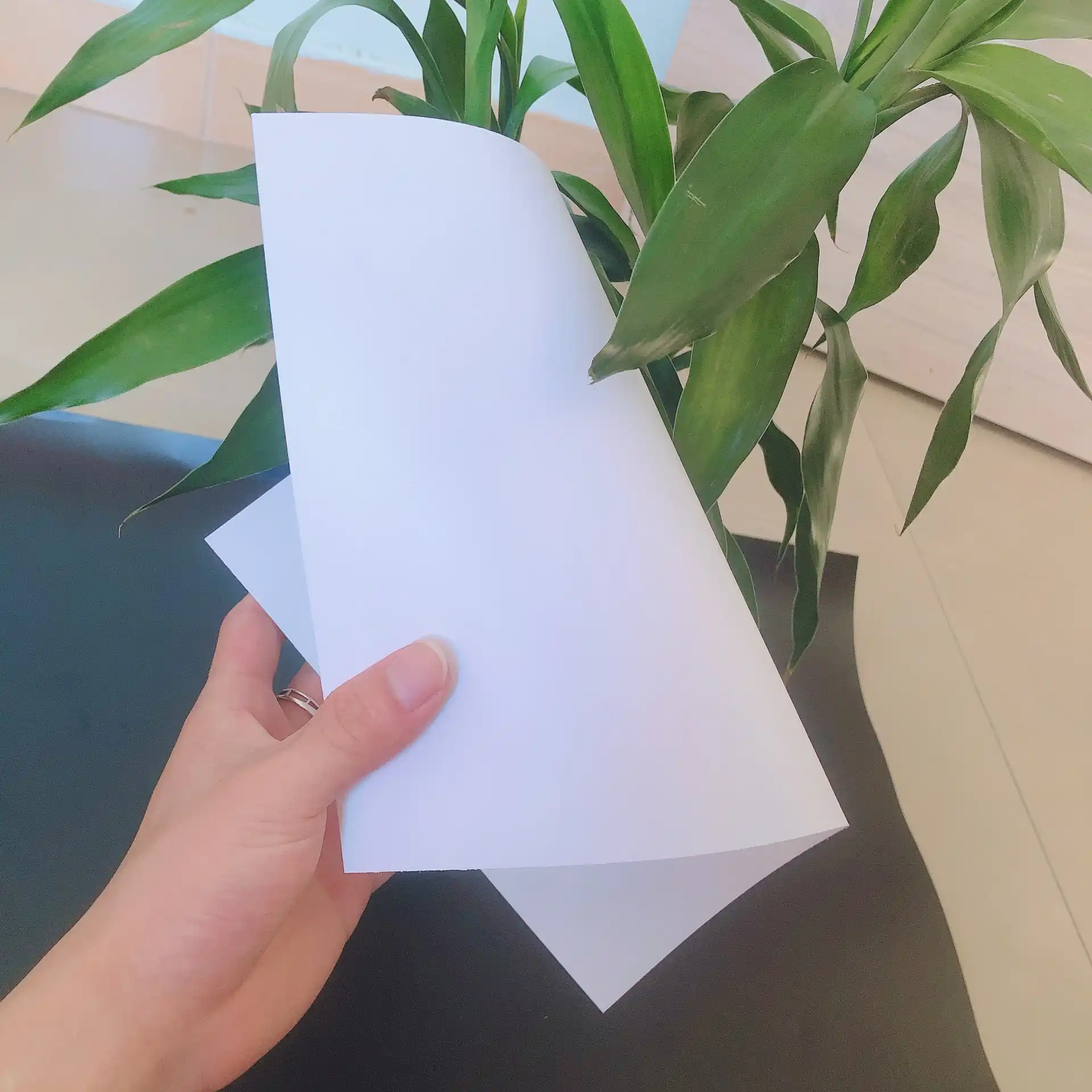 HSQY Polikarbonata Filmo Por Veziketo