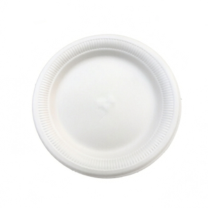 HSQY PLASTIC 5inch 7inch 9inch Disposable White XPS Foam Tray