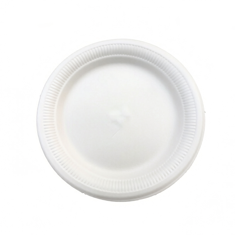 HSQY PLASTIC 5inch 7inch 9inch Disposable White XPS Foam Tray