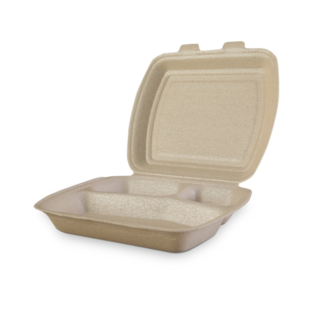 HSQY PLASTIC 3 Compartment 240x205x70mm XPP Foam Food Container