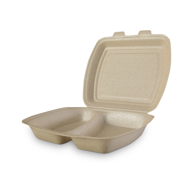 HSQY PLASTIC 2 Compartment 240x205x70mm XPP Foam Food Container