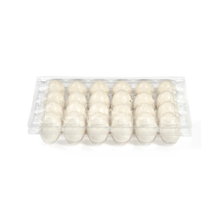 30 Count Clear PET Plastic Egg Cartons